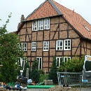 DO-6